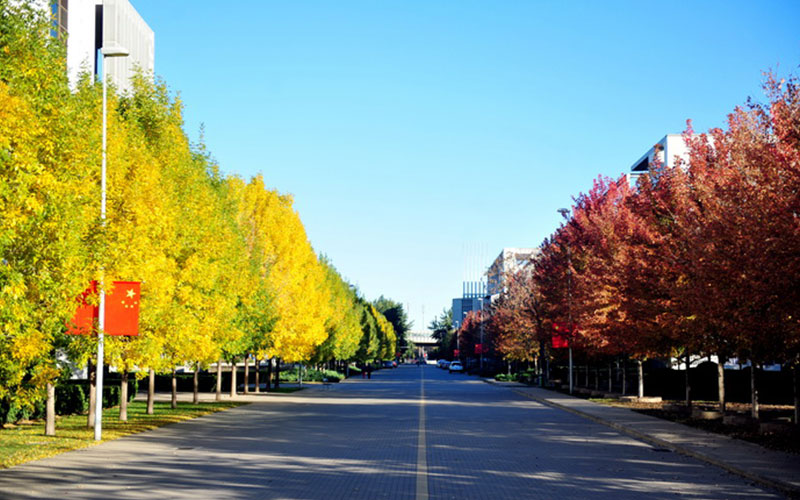 Tianjin University of Finance and Economics(TUFE)- มหาวิทยาลัยการเงินและเศรษฐศาสตร์เทียนจิน