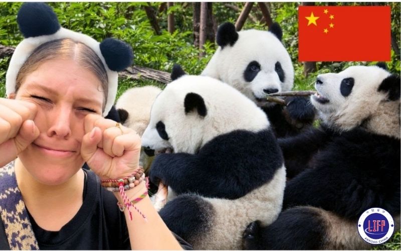 ปริญญาตรีแบบ 1+4